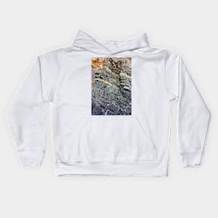 History Book. Panther Beach, California Kids Hoodie